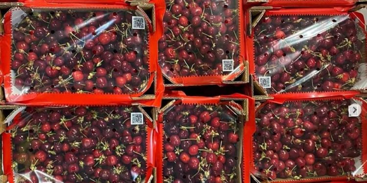 “აქცენტი გვაქვს, სექტემბერი-ოქტომბერი-ნოემბერში კიდევ იყოს საქართველოში ბალი” – გიორგი მელაძე