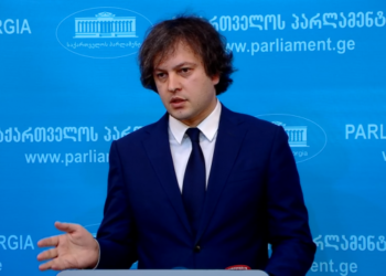 რომ მოვინდომოთ აქციის ჩატარება, გადავავსებთ თავისუფლების მოედანს და იმის იქით – კობახიძე