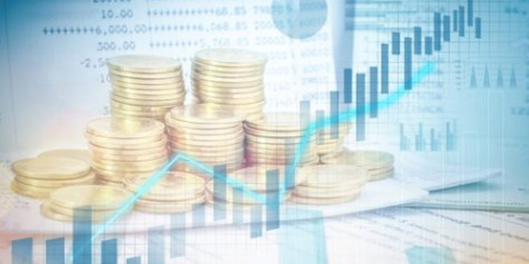 პირდაპირი უცხოური ინვესტიციები 17-წლიან მაქსიმუმზეა