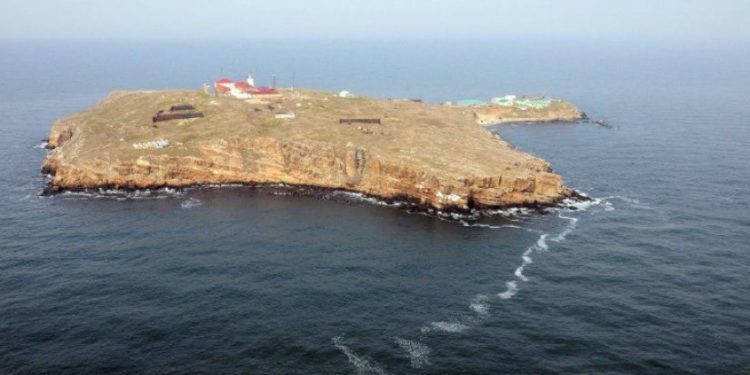 კუნძული ზმეინი რუსი ოკუპანტებისგან თავისუფალია 