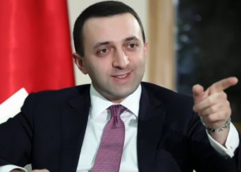 მართლა ოპოზიციის ბრალი კი არ არის სტატუსი, რომ არ მივიღეთ – ღარიბაშვილი 