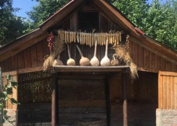 “როცა მეცნიერებმა ზანდურის შესწავლა დაიწყეს, მხოლოდ ლეჩხუმში ნახეს მასიური ნაკვეთები” – “ზანდურის სახლი”  