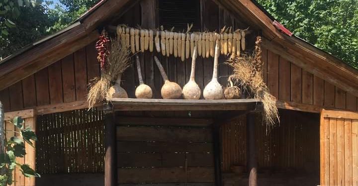 “როცა მეცნიერებმა ზანდურის შესწავლა დაიწყეს, მხოლოდ ლეჩხუმში ნახეს მასიური ნაკვეთები” – “ზანდურის სახლი”