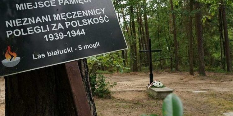 პოლონეთში იპოვეს საფლავი, რომელშიც ადამიანების 17.5 ტონა ფერფლია