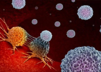 აღმოჩენილია მოლეკულა, რომელიც კიბოს ყველაზე რთულ ფორმასაც კურნავს  