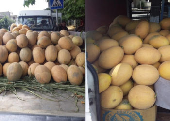 „10 თეთრს ვაფასებთ და არავინ ყიდულობს“ – კახელ გლეხს დახმარება სჭირდება