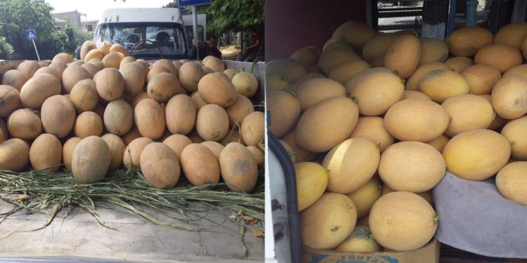 „10 თეთრს ვაფასებთ და არავინ ყიდულობს“ – კახელ გლეხს დახმარება სჭირდება