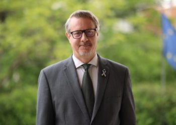 როცა 12 პუნქტი შესრულდება, მძლავრ გზავნილს გაუგზავნით EU-ს, რომ საქართველო დაბრუნდა სწორ გზაზე – კარლ ჰარცელი