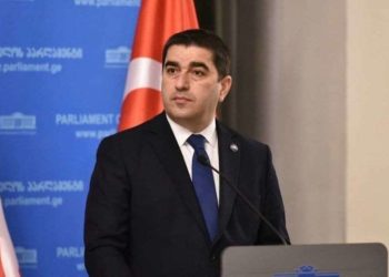 ხელისუფლების წინააღმდეგ ბრძოლა ნიშნავს ქართველი ხალხის წინააღმდეგ ბრძოლას – შალვა პაპუაშვილი