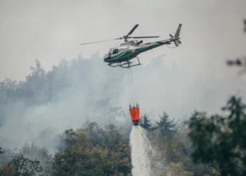 ბორჯომში ცეცხლის კერების 90% ლიკვიდირებულია – საგანგებო სიტუაციების მართვის სამსახური