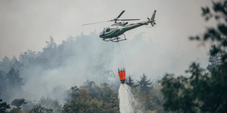 ბორჯომში ცეცხლის კერების 90% ლიკვიდირებულია – საგანგებო სიტუაციების მართვის სამსახური
