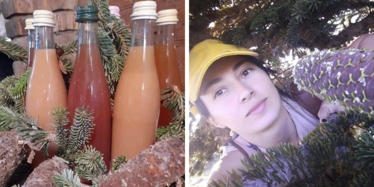 “3 ბავშვით დავდიოდი ტყეში, ახლა 5 მყავს უკვე” – ქეთევან გობრონიძე ბახმაროს სიკეთეების შესახებ