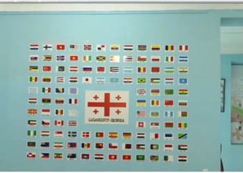 ბათუმის #7-ე საჯარო სკოლაში ოკუპირებული აფხაზეთის დროშის გამოფენის გამო სკოლის დირექტორი გაათავისუფლეს