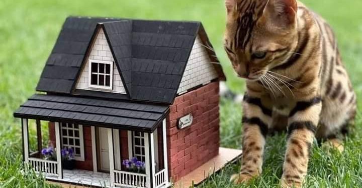 „ააშენე შენით“ – 3D კონსტრუქტორები ბავშვებისა და მოზარდებისთვის