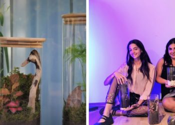 Plantastick.ფლანთასთიქ  – ჯადოსნური ტყეები მცენარეებზე შეყვარებული ადამიანებისთვის 