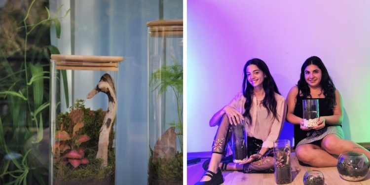 Plantastick.ფლანთასთიქ  – ჯადოსნური ტყეები მცენარეებზე შეყვარებული ადამიანებისთვის 