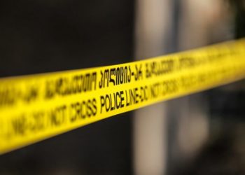 ხელვაჩაურში 5 წლის ბავშვი ძაღლმა დაკბინა