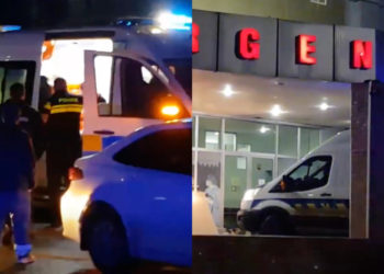 რუსთავში პიტბულმა ოთხი ადამიანი დაგლიჯა – ყველა მათგანი კლინიკაშია