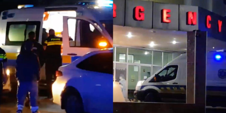 რუსთავში პიტბულმა ოთხი ადამიანი დაგლიჯა – ყველა მათგანი კლინიკაშია