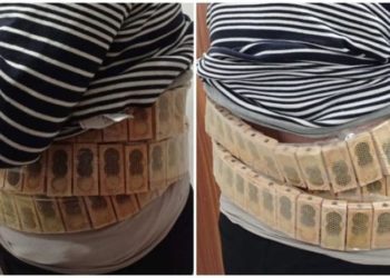 სარფის საბაჟოზე დააკავეს კაცი, რომელსაც თურქეთში 1 100 ფუტკარი სხეულზე დამაგრებული ყუთებით გადაჰყავდა