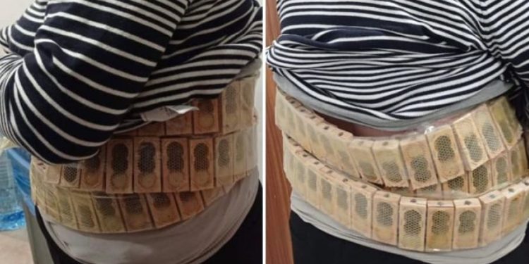 სარფის საბაჟოზე დააკავეს კაცი, რომელსაც თურქეთში 1 100 ფუტკარი სხეულზე დამაგრებული ყუთებით გადაჰყავდა