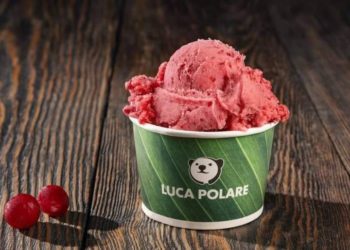 პირველად საქართველოში – „ლუკა პოლარემ“ ბიონაყინის წარმოება დაიწყო