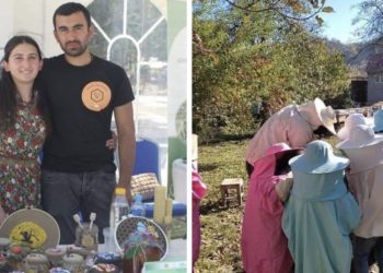 “თაფლი ლეჩხუმიდან” – კომპანია, რომელიც ახალგაზრდა და-ძმამ დააფუძნა