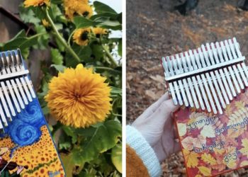 „წკაპი“ – ბიზნესი, რომელიც საკრავ კალიმბას საქართველოში ხელმისაწვდომს ხდის