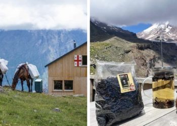 “საერთო ეკოსისტემის ფორმირება და უსაფრთხოების ელემენტარული სისტემების დანერგვა იყო ჩვენი პირველი გამოწვევა” – AltiHut