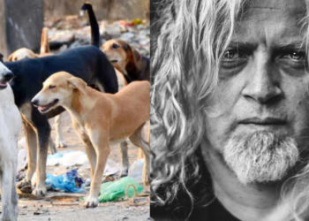 „გიყვარს ძაღლი? წაიყვანე სახლში… ადამიანის უფლებებზე მაღლა ნუ დააყენებთ…“ – ლადო ბურდულის პოსტს დიდი გამოხმაურება მოჰყვა