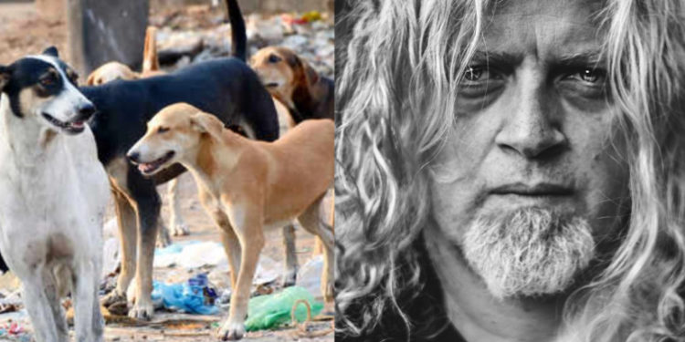 „გიყვარს ძაღლი? წაიყვანე სახლში… ადამიანის უფლებებზე მაღლა ნუ დააყენებთ…“ – ლადო ბურდულის პოსტს დიდი გამოხმაურება მოჰყვა