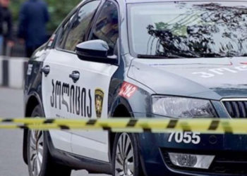 შვილიშვილმა 150 ათას დოლარად ბებიის მკვლელობა დაუკვეთა – ბრალდებული თბილისში დააკავეს