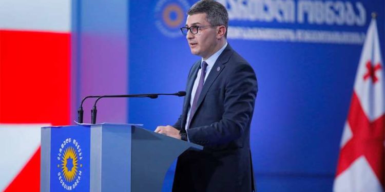 მამუკა მდინარაძე: არ შეიძლება სააკაშვილის კუჭზე გადიოდეს საქართველოს ევროპული მომავალი