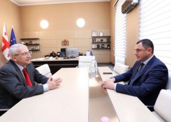 განათლების საკითხებში კონსულტანტად გია მურღულია დაინიშნა