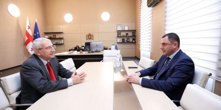 განათლების საკითხებში კონსულტანტად გია მურღულია დაინიშნა