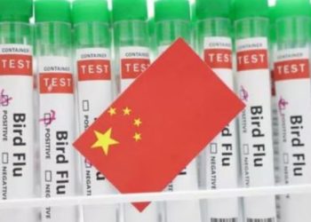 ჩინეთში H3N8 ფრინველის გრიპით სიკვდილის პირველი შემთხვევა დაფიქსირდა – WHO