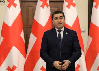 ჩვენი მოლოდინია, რომ ან წარმოდგენილი იქნება მტკიცებულებები, ან გაუქმდეს შემზღუდველი ზომა – პაპუაშვილი