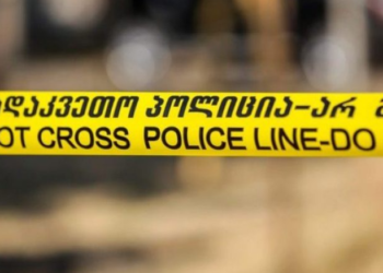 გარდაბნის რაიონის ერთ-ერთ სოფელში შვილმა მამა მოკლა