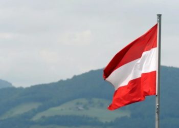 ავსტრიის მთავრობა უკრაინას ტერიტორიების განაღმვისთვის 2 მლნ ევროს გამოუყოფს