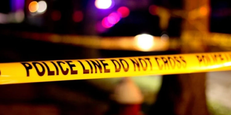 ვაშლოვანის ნაკრძალში, ნასვამმა მესაზღვრემ კარვებში მყოფ ტურისტებს ესროლა