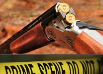 ლილოს დასახლებაში, კაცმა მეზობელი სანადირო თოფით მოკლა – შსს