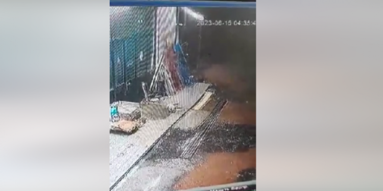 წალკაში ძაღლის მკვლელობისთვის დაკავებულს, პროკურატურამ ბრალი წარუდგინა