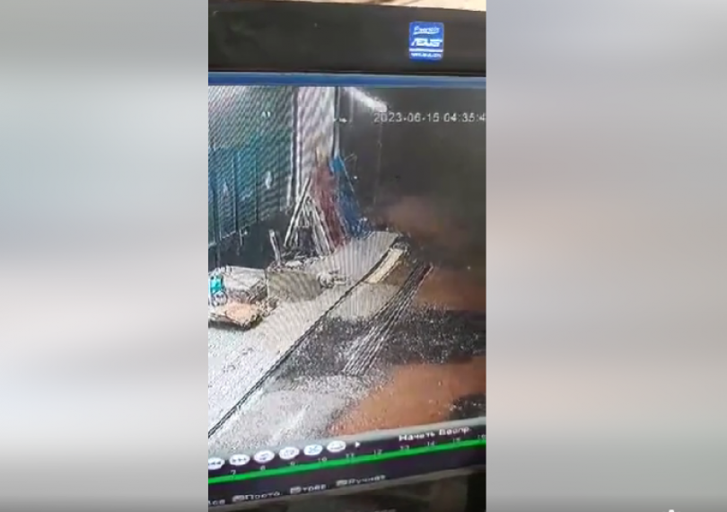 წალკაში ძაღლის მკვლელობისთვის დაკავებულს, პროკურატურამ ბრალი წარუდგინა