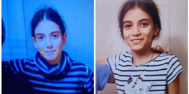 „მარიამს ძალიან უყვარს ცხოველები, გუშინწინ მოუკვდა ბარტყი, რომელსაც ძალიან უვლიდა და ეს მისთვის საკმაოდ სტრესული ემოცია იყო“ – დედა 11 წლის მარიამზე