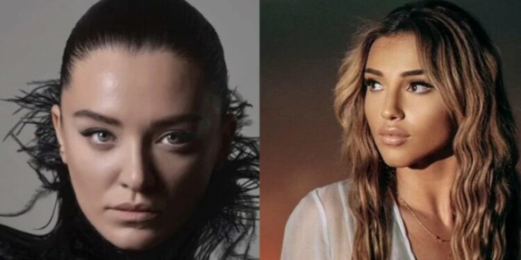 „არც მე მესიამოვნა მისი დანახვა რუსეთში გულწრფელად, მაგრამ ამხელა ზიზღი ნამდვილად არაფერში წერია…“ – ნინი შერმადინი