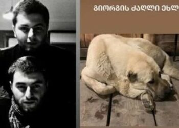 „გიორგის ძაღლი ახლა…“ – კინორეჟისორი მარიამ ხაჭვანი სვანეთის ტრაგედიაზე