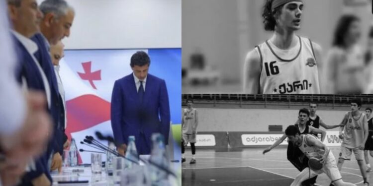 „სრული პასუხისმგებლობით ვაცხადებ, რომ ე.წ. ფანჩატურში ელექტროხაზის დაერთებაზე არანაირი ნებართვა გაცემული არ ყოფილა, მისი დაერთება თვითნებურად მოხდა“ – კალაძე