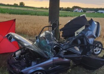 პოლონეთში ავტოსაგზაო შემთხვევის შედეგად საქართველოს მოქალაქე დაიღუპა