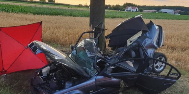 პოლონეთში ავტოსაგზაო შემთხვევის შედეგად საქართველოს მოქალაქე დაიღუპა