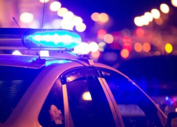 „მოკლა და ცხედარი დაუსახლებელ ადგილზე დამარხა“ – ქობულეთში ჩადენილი სასტიკი მკვლელობის ფიგურანტი გაერთიანებულ სამეფოში დააკავეს